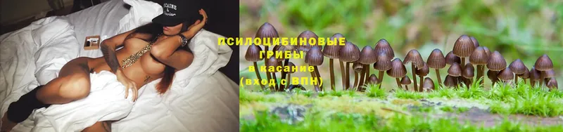 Галлюциногенные грибы MAGIC MUSHROOMS Руза